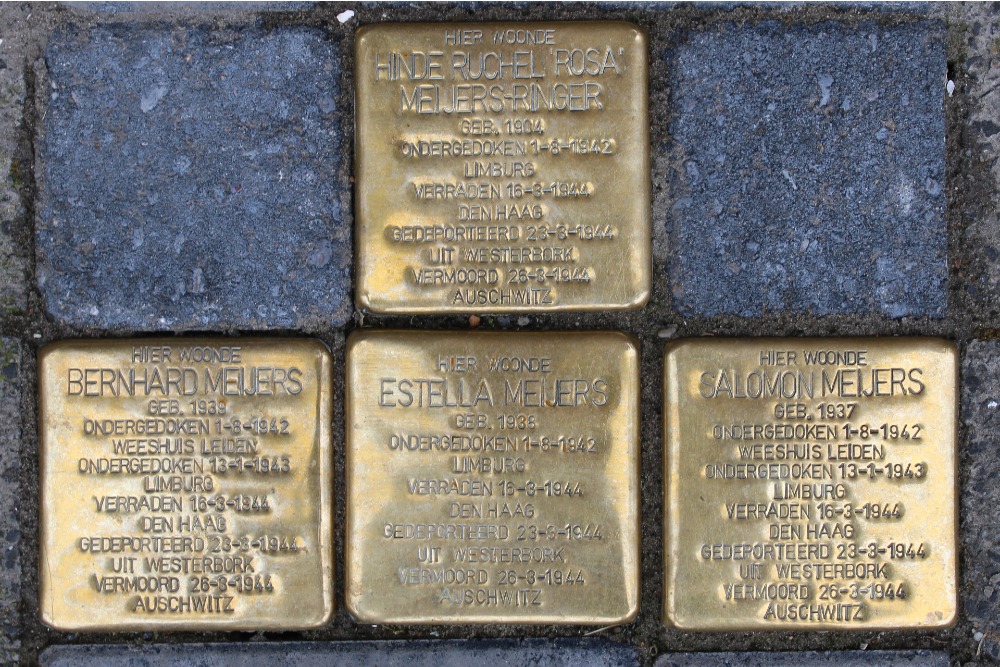 Stumbling Stones Johan van Hoornstraat 29 #1