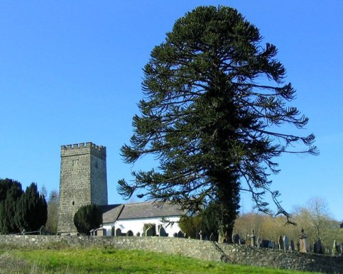 Commonwealth War Grave St. Gwenog Churchyard