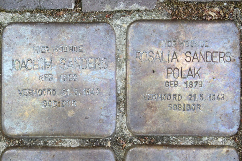 Stolpersteine Ter Pelkwijkpark 8 B (voorheen 8-I) #2