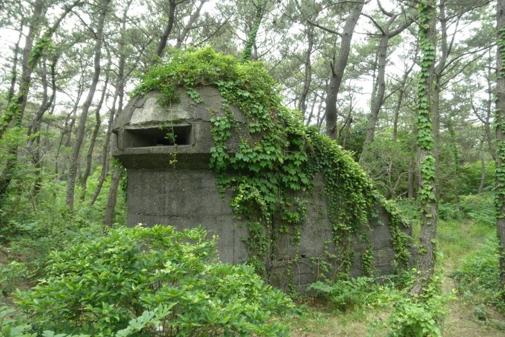 MG-bunker Futtsu #2