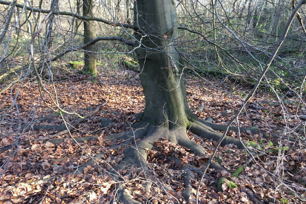 Remains Rundbogenhalle Sudlager Fliegerhorst Venlo