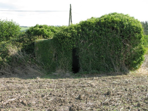 Pillbox FW3/24 Wingham #1