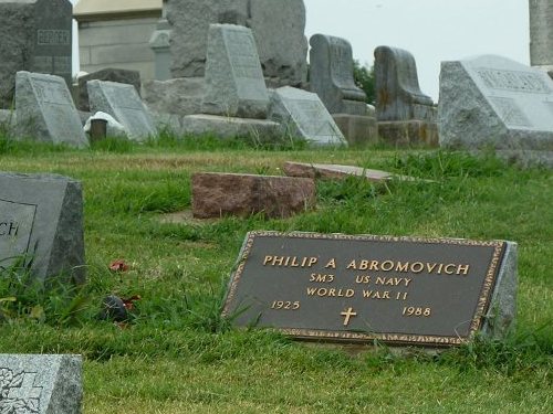 Veterans Graves Mount Carmel Cemetery