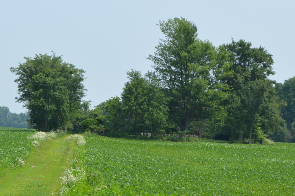 Fort McArthur Cemetery