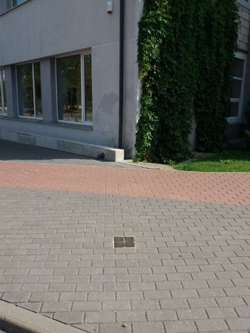 Stolpersteine J. Tilvyčio gatvė 1 #2