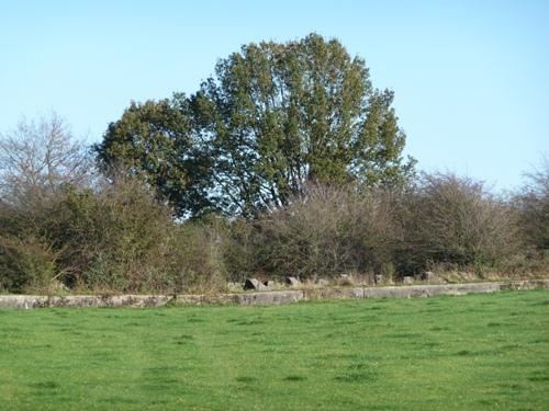 Westwall - Tankversperring Sief