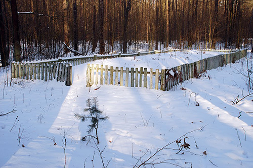 Mass Graves Victims Stalag 358 #1