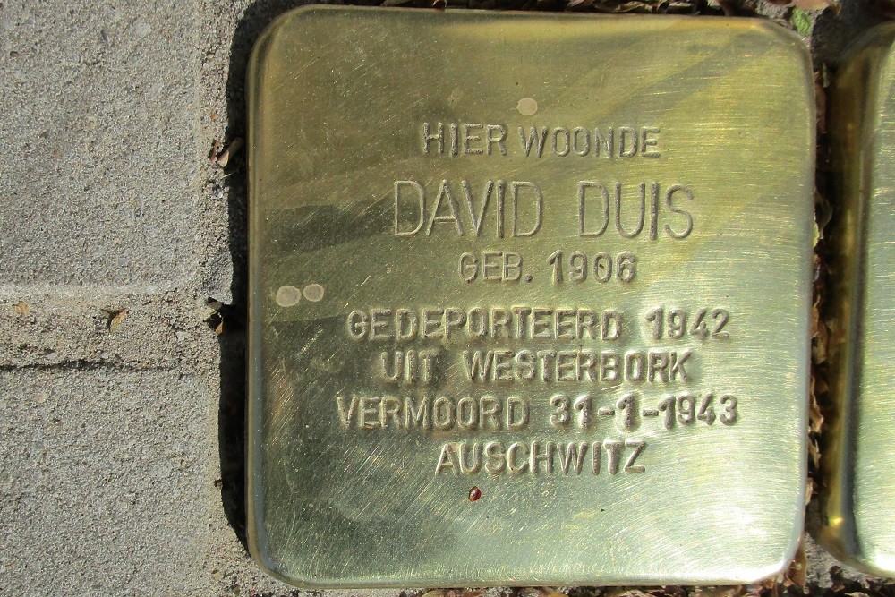 Stolpersteine Sarphatistraat 81 #2