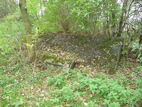 Group Shelter Type 1918/I Fort Vechten #1