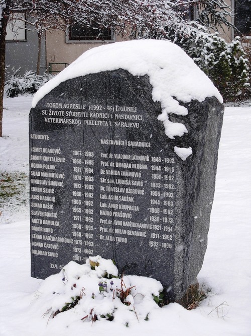 Oorlogsmonument Faculteit Diergeneeskunde #1