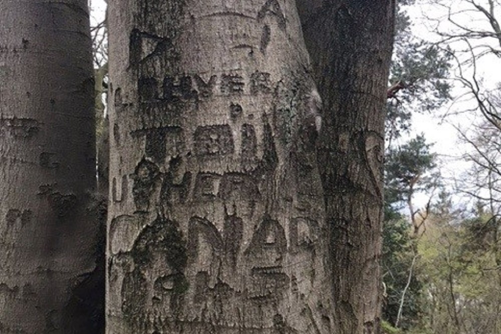 Inscription Tree Canadian Soldier Ubbergen