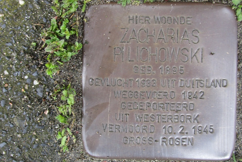 Stolpersteine Beethovenstraat 8 #2