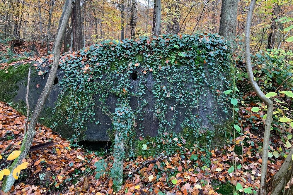 Bunker BV 23 Pepinster #3