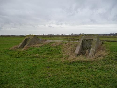 Group Shelter Spaarndam #1