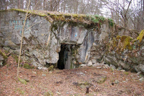 Pommernstellung - Remains Bunker Borne Sulinowo #1