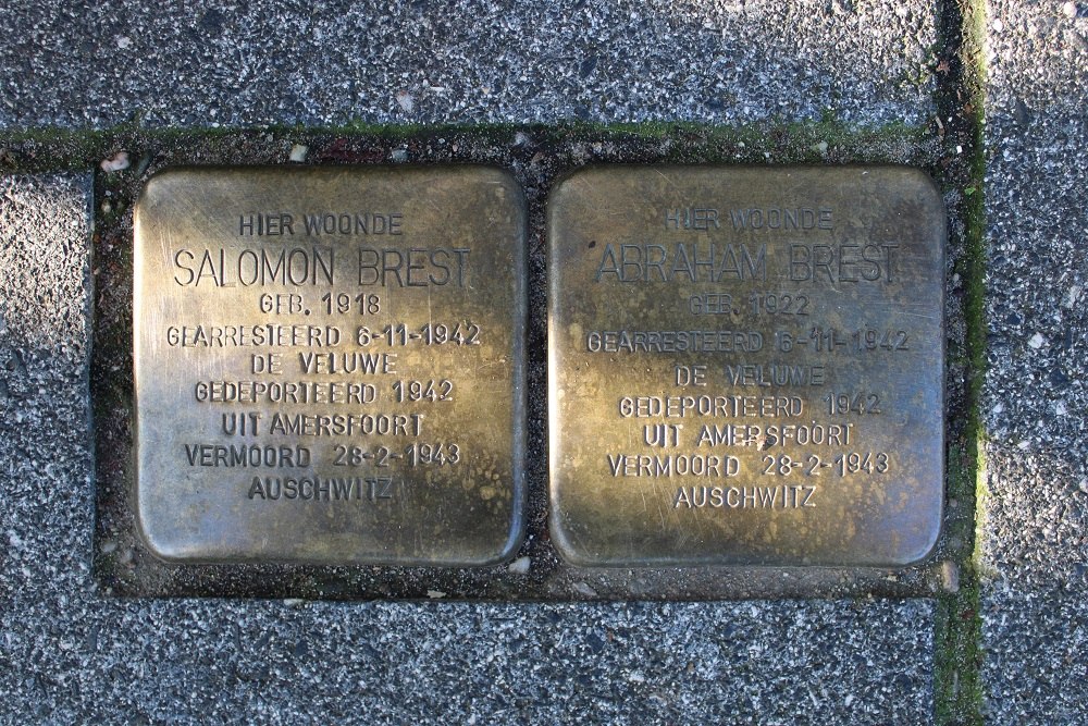 Stolpersteine Rijnstraat 92