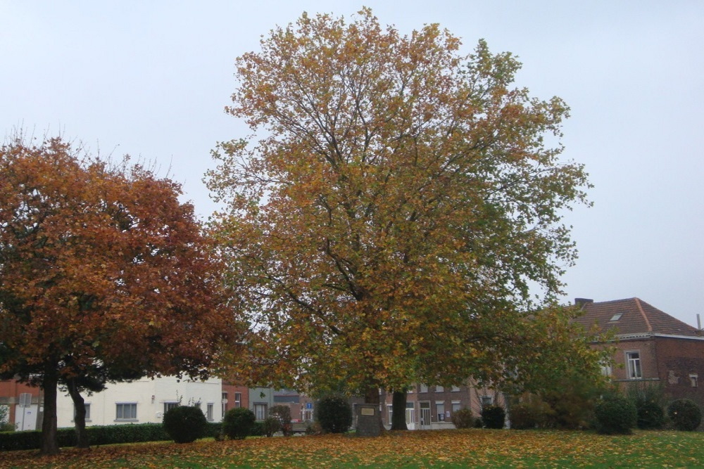 Herdenkingsboom Bevrijding Jemappes