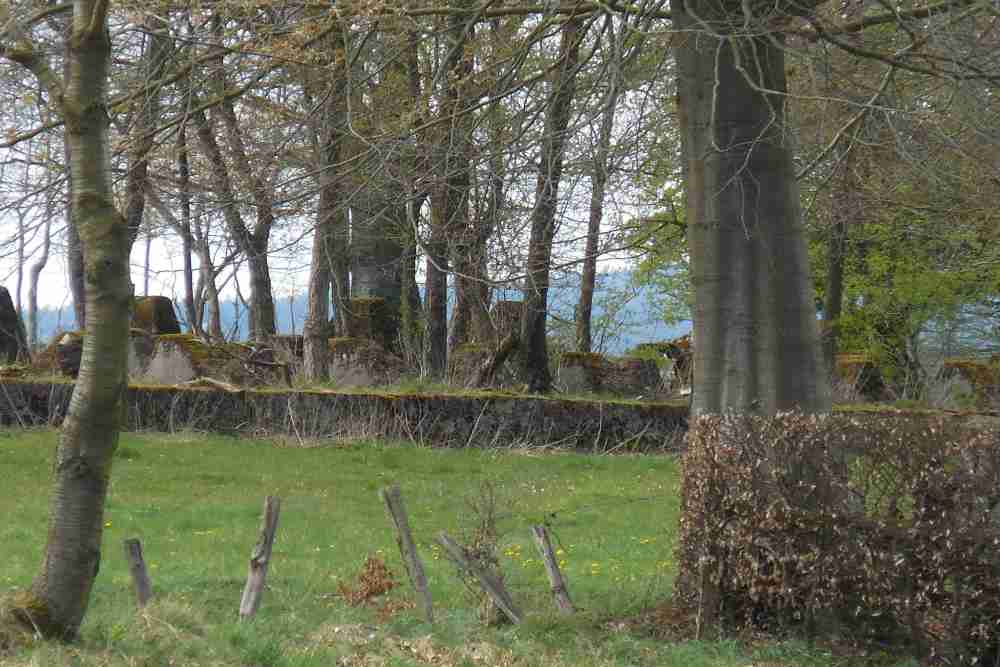 Westwall - Tank Barrier Trakehnerweg #2