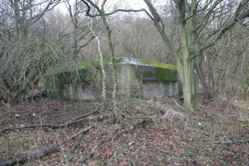 Pillbox FW3/28 Sulham