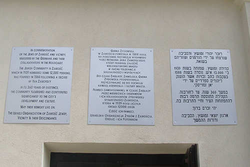 Synagogue Zamosc #2
