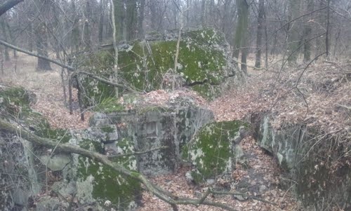 Oderstellung - Remains Casemate