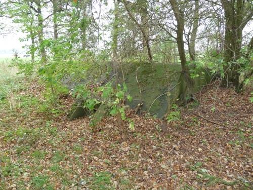 Group Shelter Type 1918/I Fort Vechten