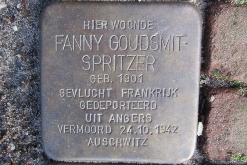 Stumbling Stones Van Ostadelaan 6 #3