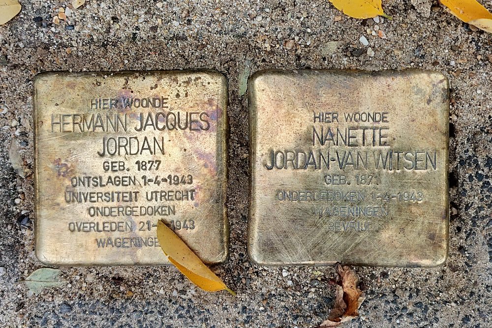 Stolpersteine Frans Halsstraat 19
