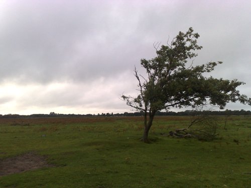 German Dummy Aerodrome 33 Renesse