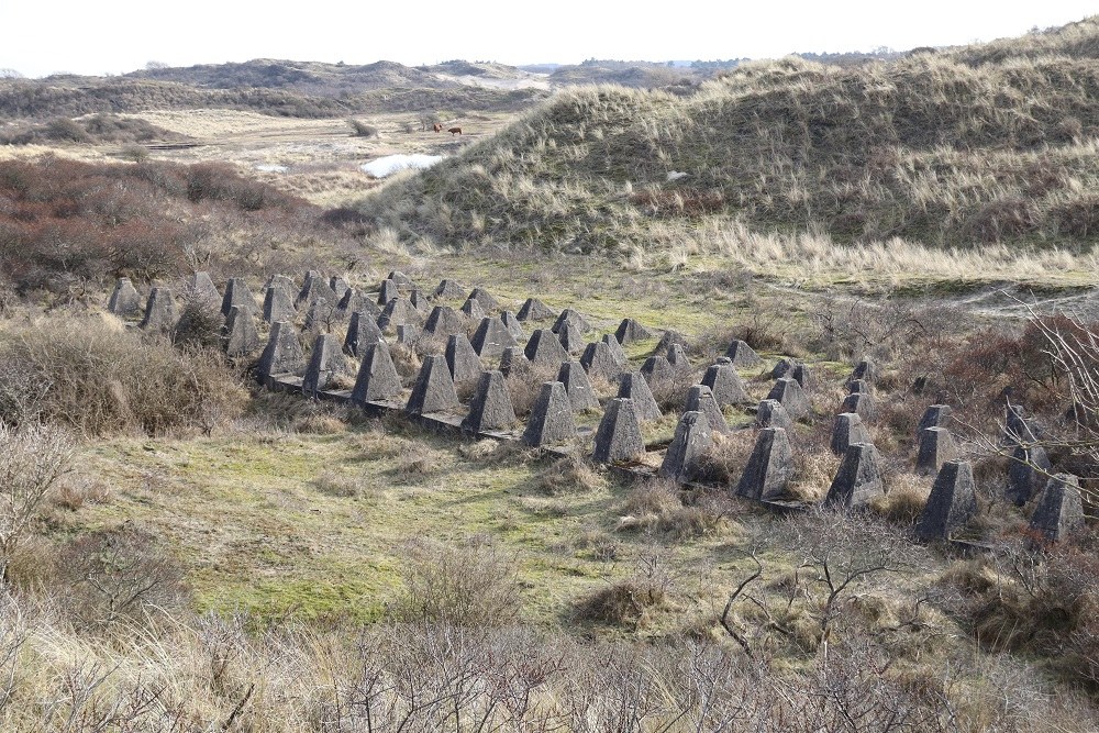 German Tank Barrier IJmuiden #1