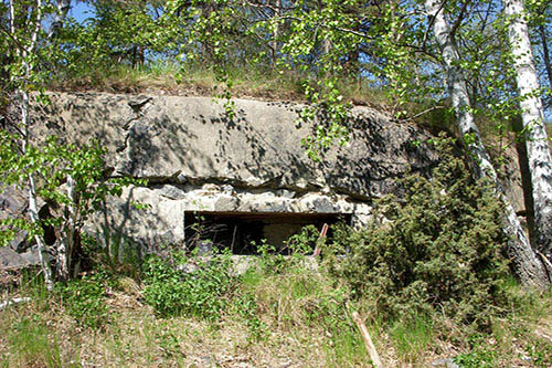 Skavlinie - Fort Magelung