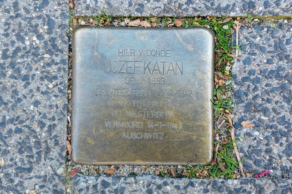 Stolperstein Hoflaan 37