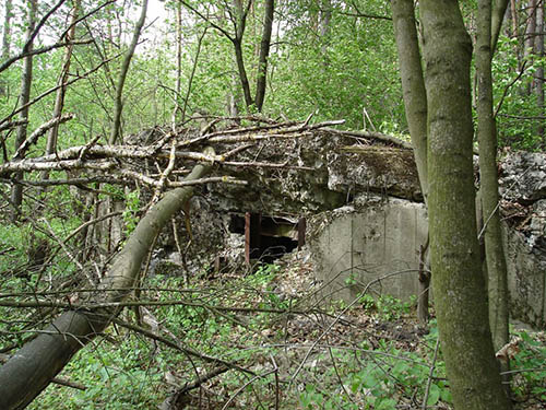 Stalin Line - Remains Casemate No. 528