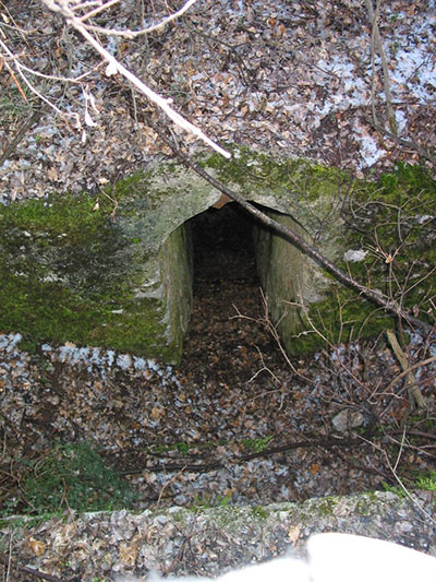 Austro-Hungarian Trench