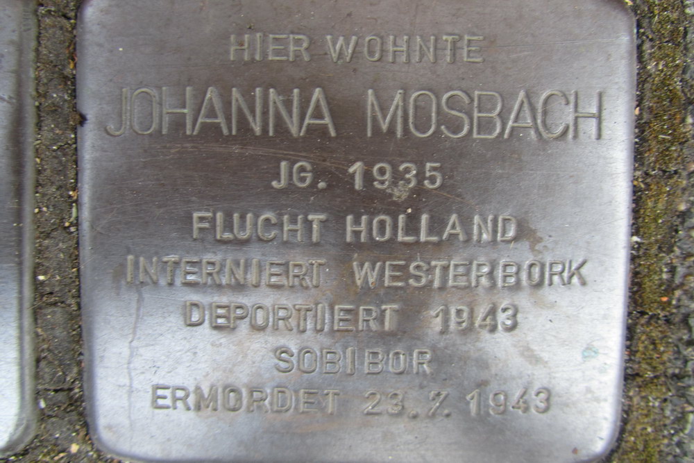 Stolpersteine Rheinaustrae 18 #2