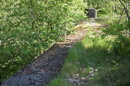 Anti-aircraft Battery Skanskvarn & Tank Barrier #3