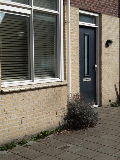 Stumbling Stones Willem de Zwijgerstraat 44 #2