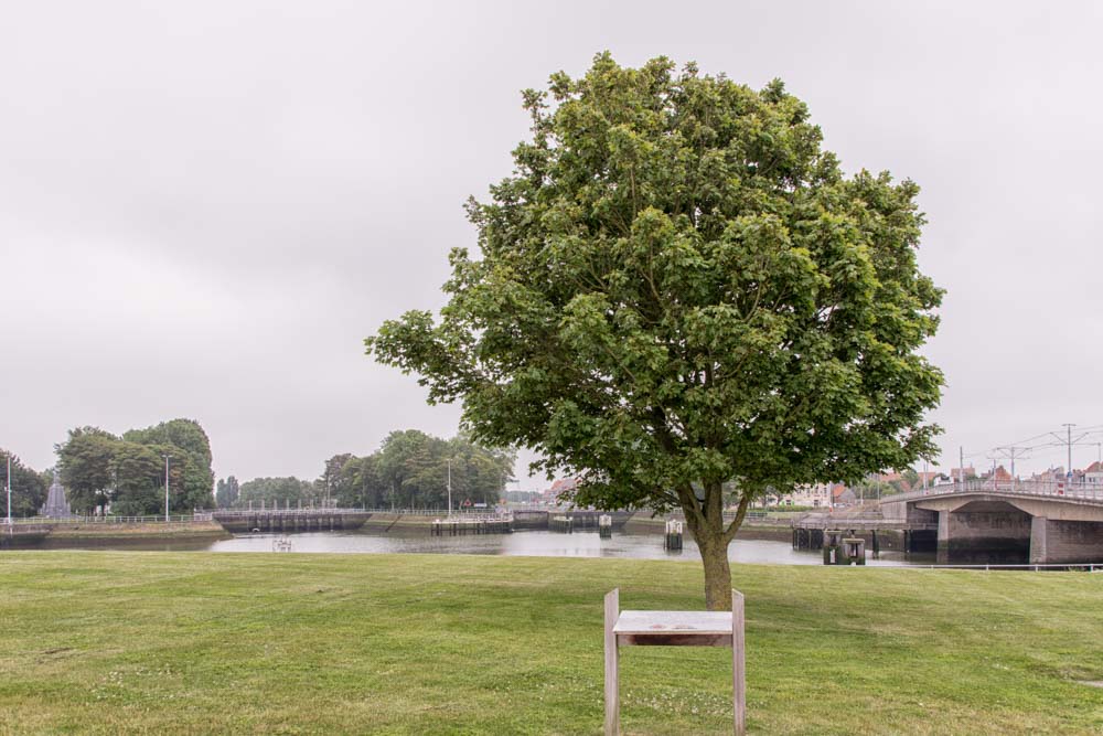 Canadese Esdoorn Bevrijding Nieuwpoort