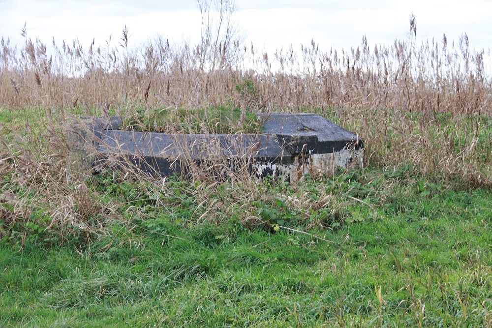 Flugfeld Bergen - Ringstand Tobruk Bunker