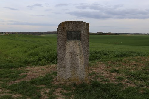 Memorial Lt General Sir Thomas Picton #1