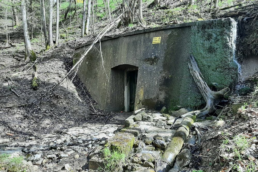 Hitler's Berghof Ruins #8