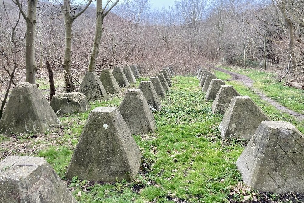 Drakentanden Versperring Groot Valkenisse