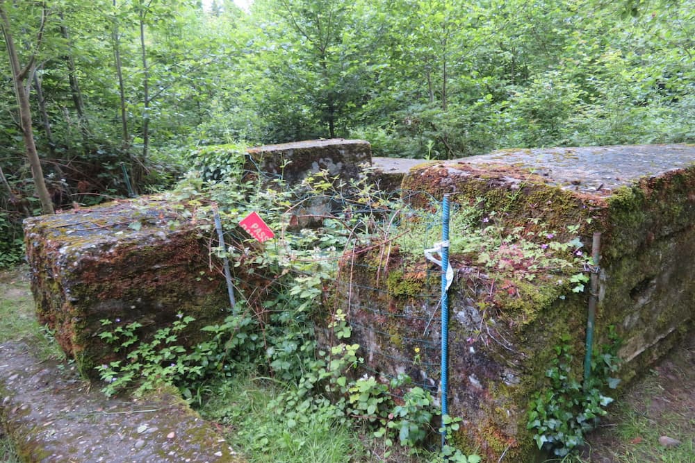 German Position 1 Mooslargue #4
