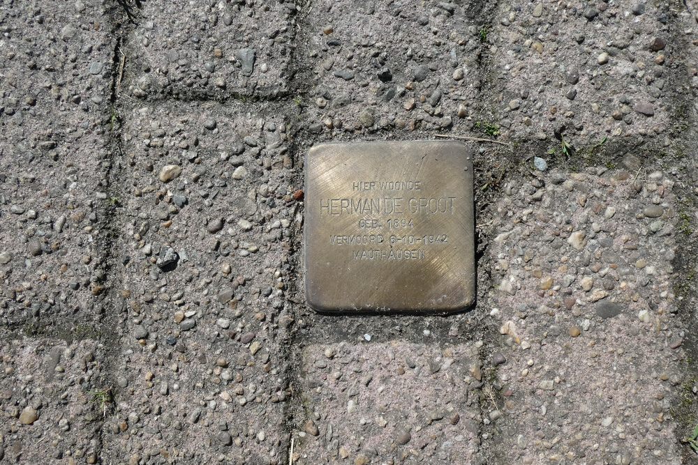 Stolperstein Eesveenseweg 165 #2