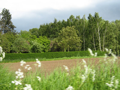 Maginotlinie - Kazemat Sud Nr.3