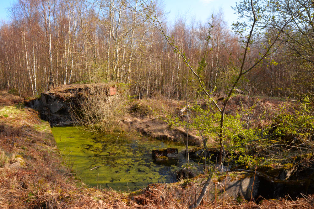 Bunker 359/360 Todtenbruch #4