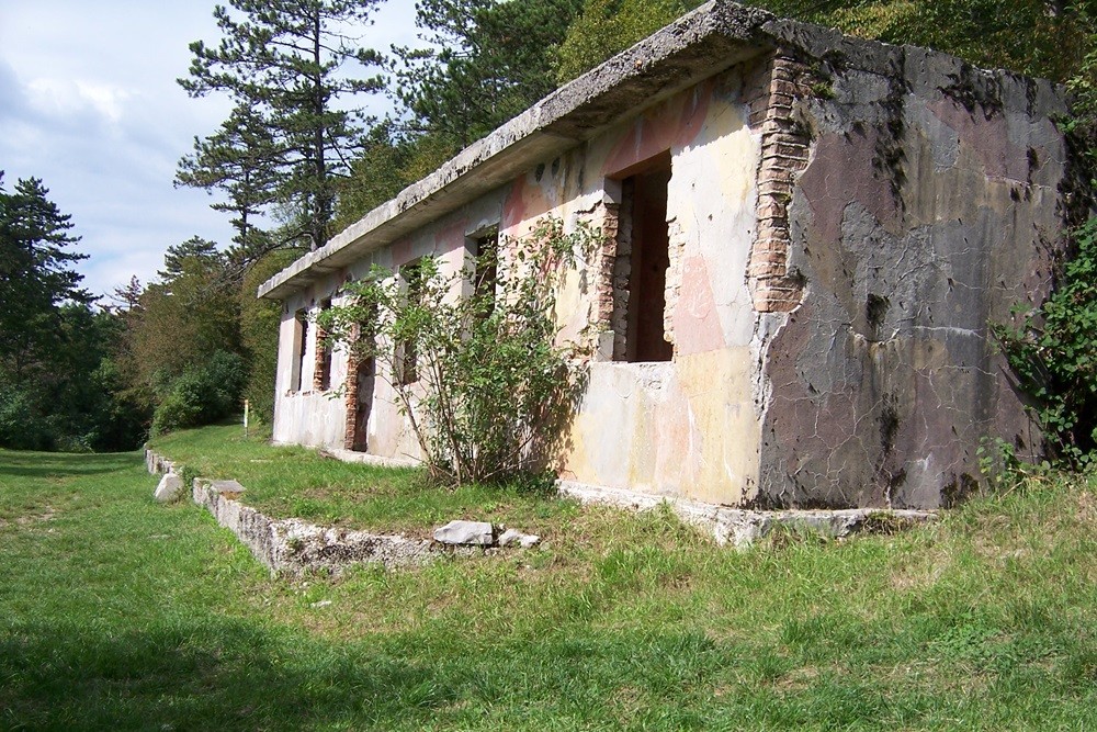 Alpine Wall - Fort Primož #5