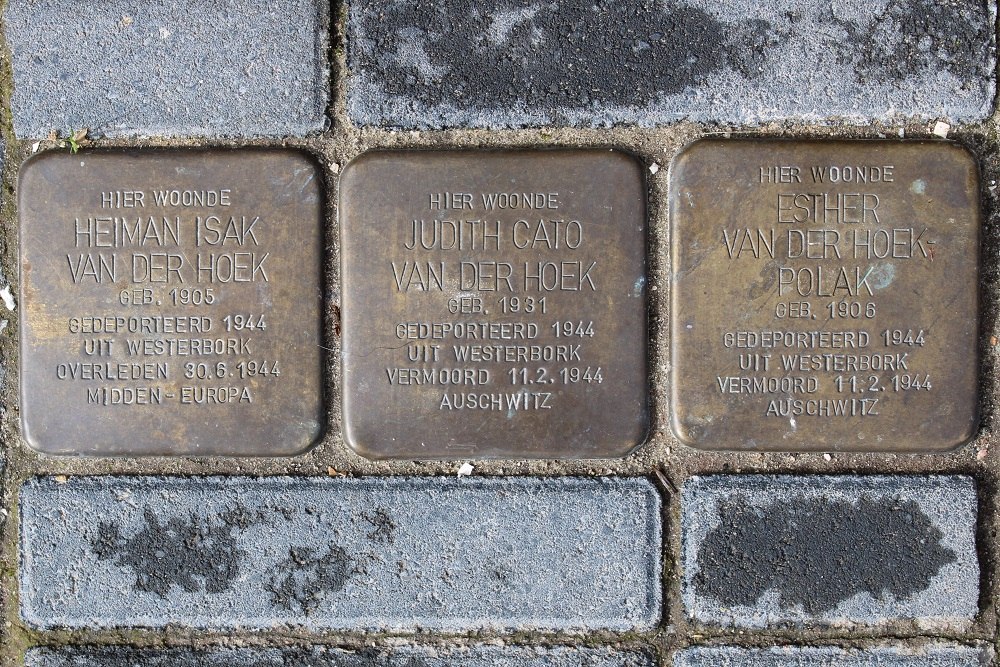 Stolpersteine Lamarckstraat 41