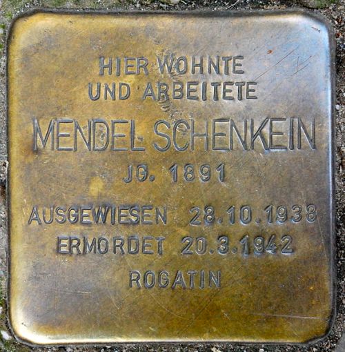 Stolperstein Erich-Weinert-Strae 3 #1