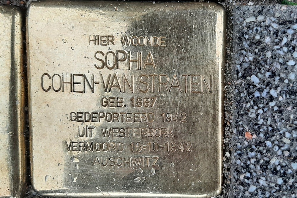 Stolpersteine Ungerplein 2 #3